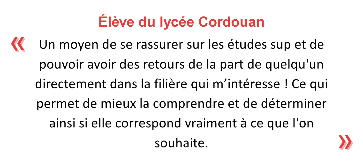 avis8